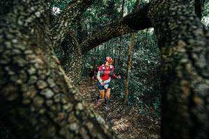 BIB: 
                            <button type="button" onclick="openModal(25392309)" class="btn btn-primary btn-sm float-right btn-popup" data-toggle="modal" data-target=".modal-high-quality">
                        <i class="fas fa-shopping-cart"></i> Add to Cart
                    </button>
                                            <button type="button" onclick="isThisMe(25392309, true)" class="btn btn-success btn-sm float-right btn-popup btn-isme hidden" data-toggle="tooltip" data-placement="bottom" title="นี่คือรูปของคุณใช่ไหม คลิกที่นี่เพื่อเอาเข้าอัลบั้ม">
                        <i class="fas fa-plus"></i> Add to album
                    </button>
                    <button type="button" onclick="isThisMe(25392309, false)" class="btn btn-warning btn-sm float-right btn-popup btn-isnotme hidden">
                        <i class="fas fa-ban"></i> Remove from album
                    </button>